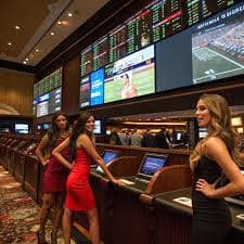 d789 Live Casino